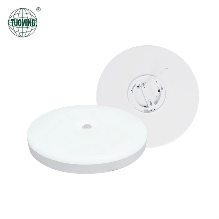 Sensor Porch Ceiling Light factory