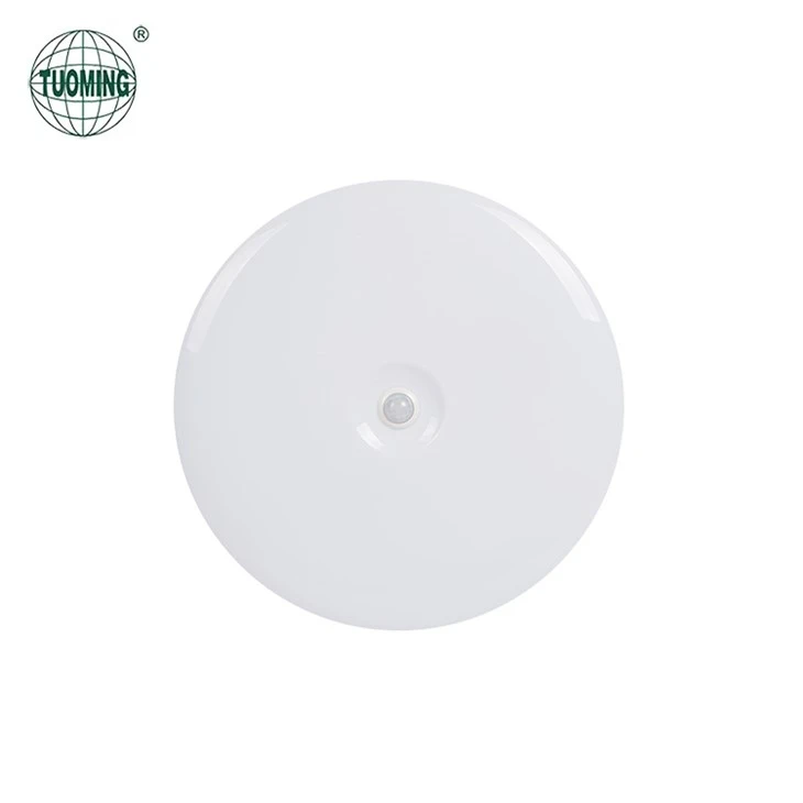 Sensor Porch Ceiling Light suppliers